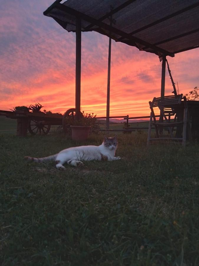 Enjoy Sunset Villa Colle Massari Buitenkant foto