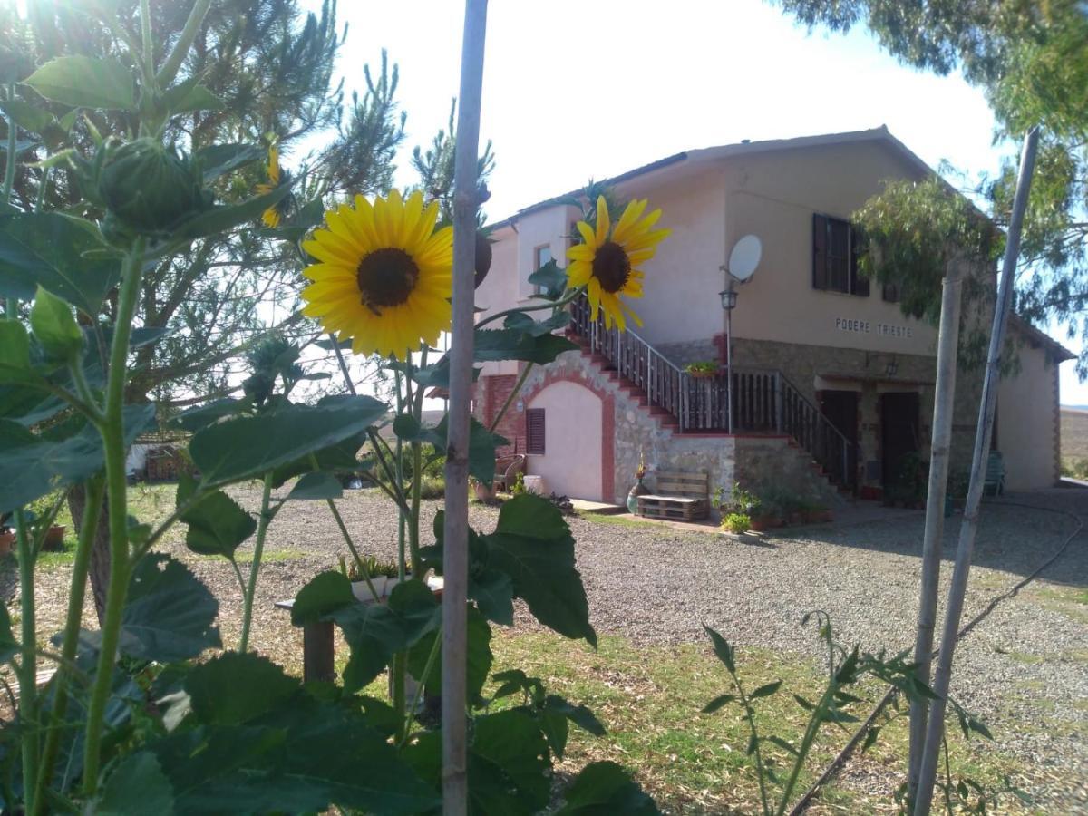 Enjoy Sunset Villa Colle Massari Buitenkant foto